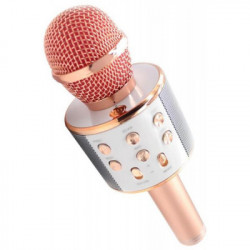 Karaoke bluetooth mikrofonas Wster 858