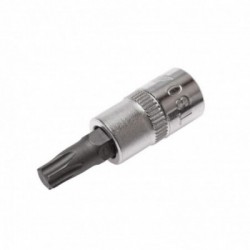 Antgalis įpresuotas į galvutę 1/4,Torx, T25