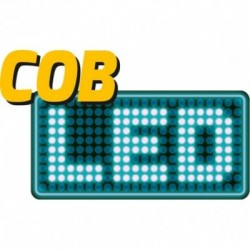 Darbo lempa, akumuliatorinė COB LED 3W, 230/12V