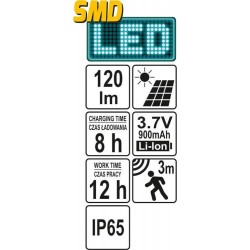 Sieninė saulės lempa su judesio davikliu 6 SMD LED