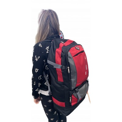 Stylish tourist backpack...