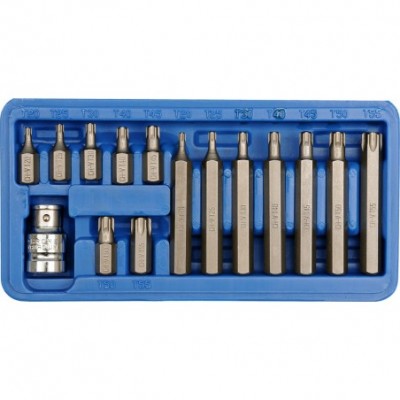 Antgalių rinkinys, Torx, T20-T55, 15vnt.