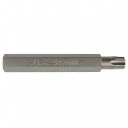 Antgalis TORX (10mm)