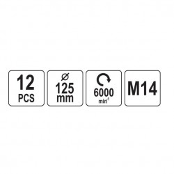 Valymo-poliravimo rinkinys 125mm, M14 12vnt.