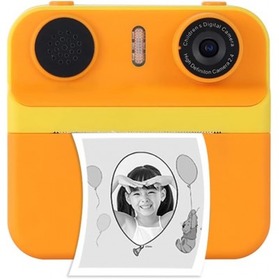 Momentinio spausdinimo...