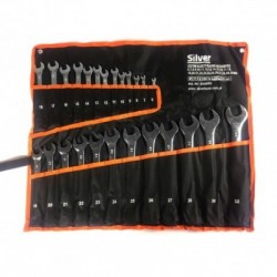 Kombinuotų raktų rinkinys 25d. 6-32mm