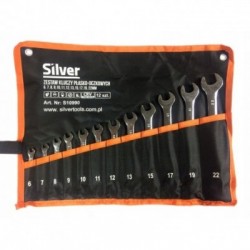 Kombinuotų raktų rinkinys – 12 vnt., 6 - 22 mm