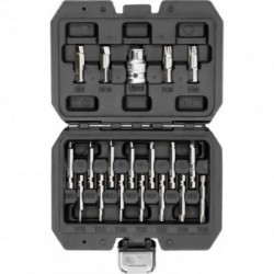 Apgadintų ir pažeistų varžtų išsukėjų rinkinys 10 vnt.