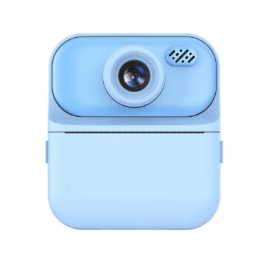 Momentinio spausdinimo...