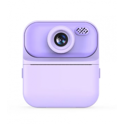 Momentinio spausdinimo...