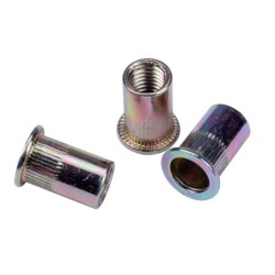 Kniedės srieginės plieninės 50vnt