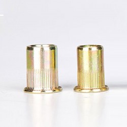 Kniedės srieginės plieninės 50vnt