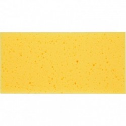 Trintuvė su hidro kempine SMPX 40mm