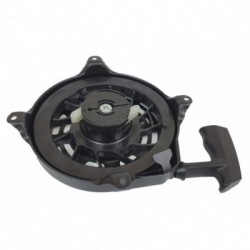 Starteris žoliapjovems (Briggs&Stratton, Quantum)