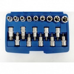 Galvučių rinkinys, Torx, 19vnt., 1/2, Cr-V