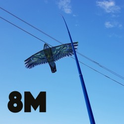 Kotas 8M aitvarui
