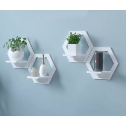 Kompaktiška lentyna