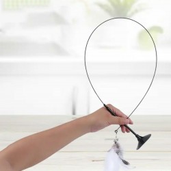 Puikus žaislas katei - meškerė Puikus žaislas katei - meškerė