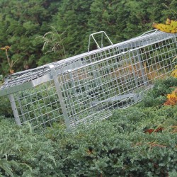 Narvas/ gaudyklė spąstai 102x34x34 HARDY