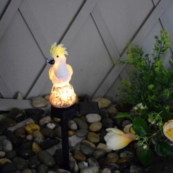 LED saulės sodo lempa – Papūga LED saulės sodo lempa – Papūga