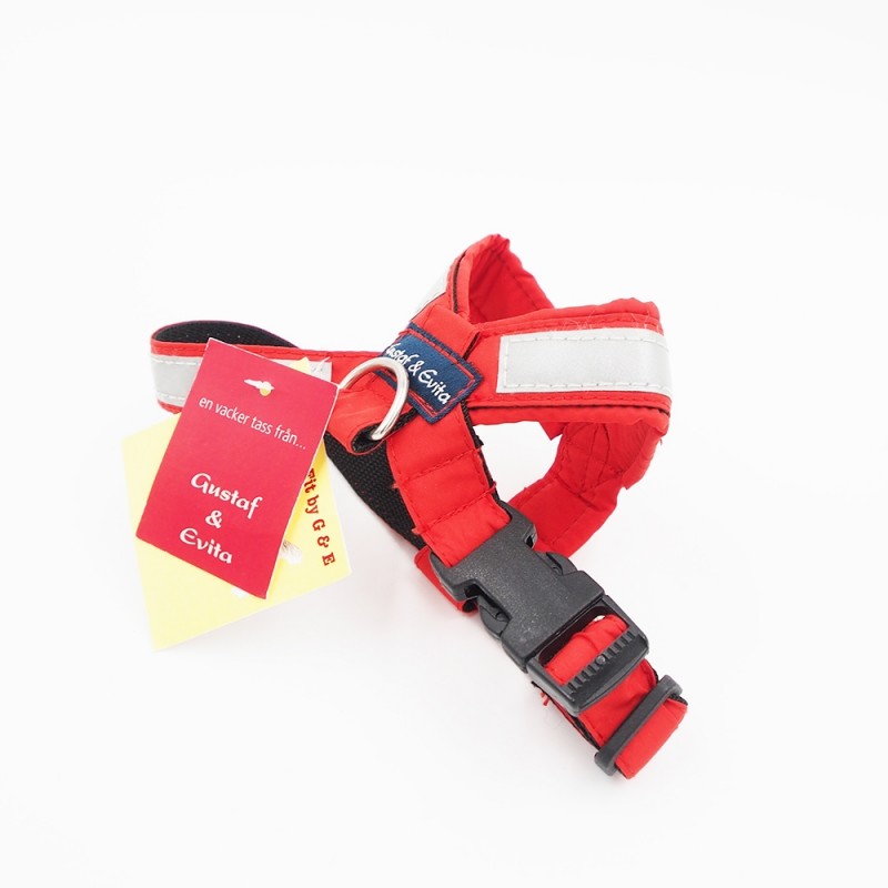 24/ 32 CM. Gustaf & Evita petnešos GE110305