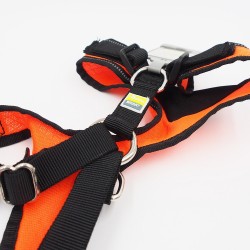M Petnešos šunims Hunter H92732 M Petnešos šunims Hunter H92732