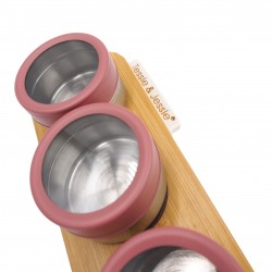 Magnetinė prieskoninė (4 indeliai)