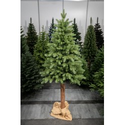 220 cm Kalėdinė eglutė „Skandinaviškas kėnis“ 220 cm Kalėdinė eglutė „Skandinaviškas kėnis“