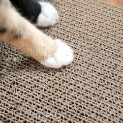 Ergonomiška kačių draskyklė–gultas su mediniu rėmu Ergonomiška kačių draskyklė–gultas su mediniu rėmu