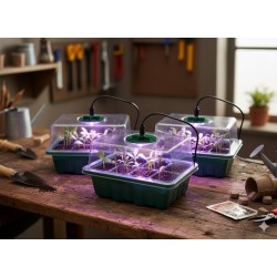Mini šiltnamių rinkinys daiginimui su LED apšvietimu – 3 vnt. Mini šiltnamių rinkinys daiginimui su LED apšvietimu – 3 vnt.