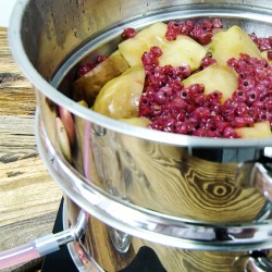 Nerūdijančio plieno sulčiaspaudė 8 L Nerūdijančio plieno sulčiaspaudė 8 L