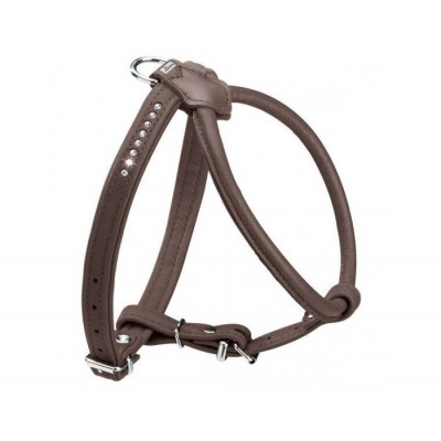 30CM. Petnešos šunims Hunter