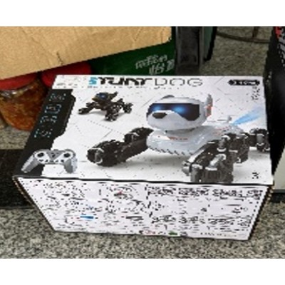 Interaktyvus nuotoliniu būdu valdomas robotas šuo TR2384C