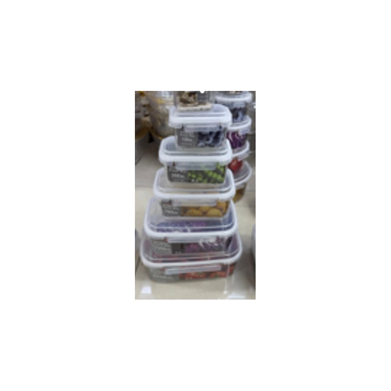 Plastikinių maisto laikymo indų rinkinys su dangčiais (6 vnt.) TR2358C