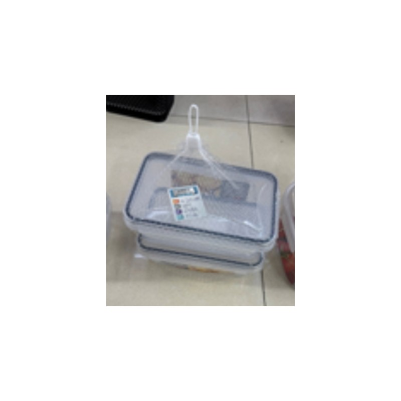 Plastikinių maisto laikymo indų rinkinys su dangčiais (2 vnt.) TR2358D