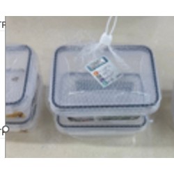 Plastikinių maisto laikymo indų rinkinys su dangčiais (2 vnt.) TR2358E