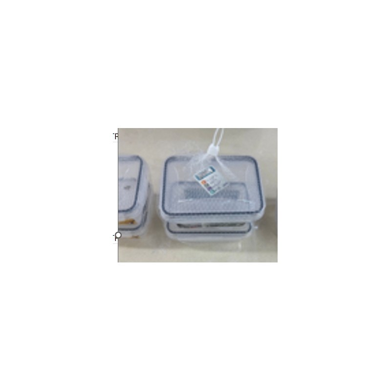 Plastikinių maisto laikymo indų rinkinys su dangčiais (2 vnt.) TR2358E