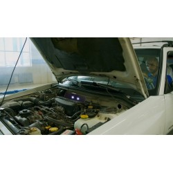 Automobilinis kiaunių, pelių ir žiurkių baidytuvas su LED blyksniais, maitinamas baterijomis