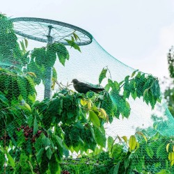 Apsauginis Tinklas Nuo Paukščių, 5 X 10 M Apsauginis Tinklas Nuo Paukščių, 5 X 10 M