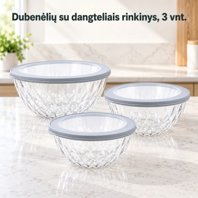 Plastikinių maisto laikymo indelių rinkinys su dangteliais 4 vnt.