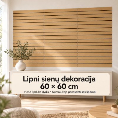 Dekoratyvinė lipni sienų plokštė 60 × 60 cm TR2293C